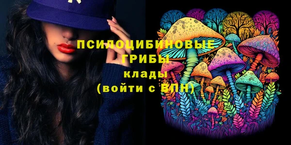 соль ск Алексеевка