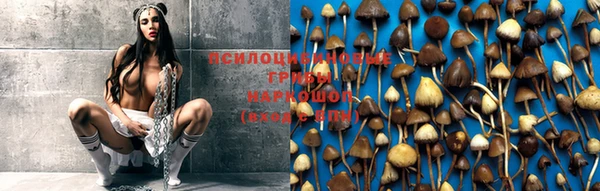 герыч Алексин