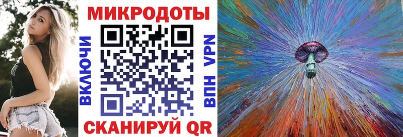 мега зеркало  Петрозаводск  Псилоцибиновые грибы мицелий 